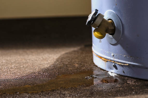 Best Water damage restoration near me  in USA